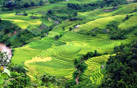 VB301: INDOCHINA TOUR (21 Days/ 20 Nights)