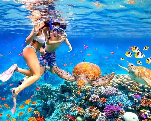 VB042: DIVING IN PHU QUOC ISLAND (3 Days/ 2 Nights)