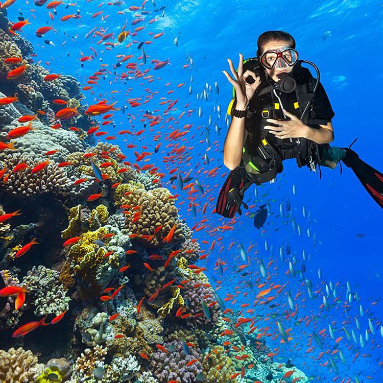 VB043: DIVING IN NHATRANG (6 Days/ 5 Nights)