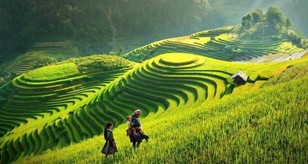 Vietnam tops Asia in international tourism growth
