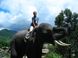 VB408: BANGKOK AND PATTAYA (6 Days/ 5 Nights)