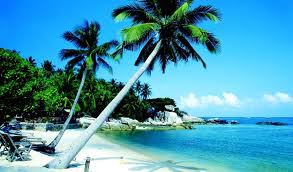 VB403: KOH SAMUI PARADISE BEACH (4 Days 3 Nights)