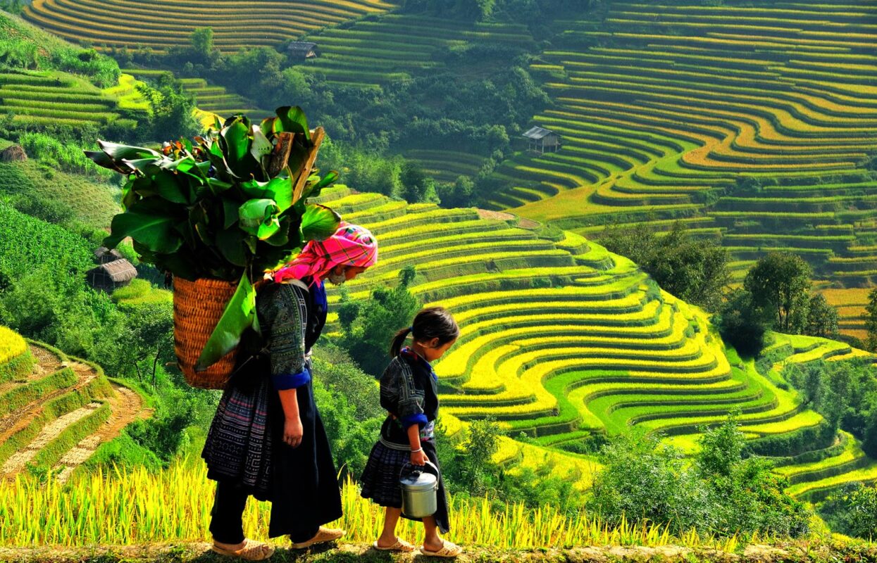 VB312: THE MYSTERIOUS WONDERS OF INDOCHINA (20 Days / 19 Nights)