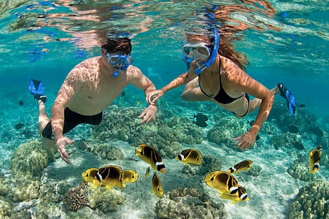 VB044: LEISURE BEACH IN VIETNAM (13 Days/ 12 Nights)